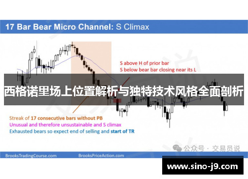 西格诺里场上位置解析与独特技术风格全面剖析