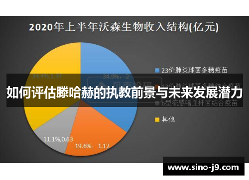 如何评估滕哈赫的执教前景与未来发展潜力