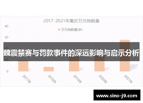 魏震禁赛与罚款事件的深远影响与启示分析
